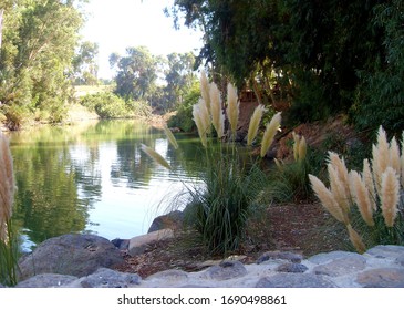 The Jordan River In Israel