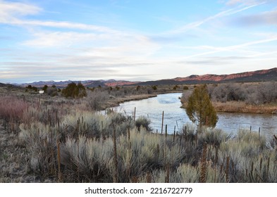 Jordan River Utah With Tree