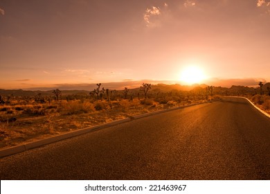 Joshua Tree Desert Road At Sunset. Park Interior Road In The Joshua Tree National Park In California, USA.