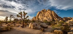 Joshua Tree National Park In California. The Cloudy Sunset Was Shot Just After A Big Storm. This Situations Leaded To A Breathtaking Cloudy Sky That Took Fire During Sunset.
