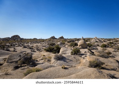 Joshua Tree National Park, Califronia