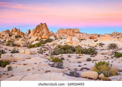 Joshua Tree National Park, Mojave Desert, California - Powered by Shutterstock