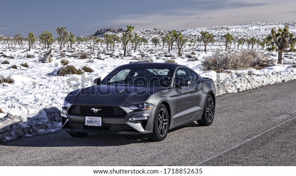 Joshua Tree NP, California -\
Dec 31, 2019 - black Ford Mustang 2019, sixth generation in a snowy\
desert