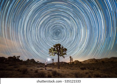 Joshua Tree Star Trail Lit Up By A Man