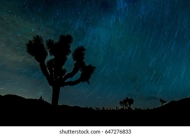 Joshua Tree Star Trail Pin With Silhouette On Left