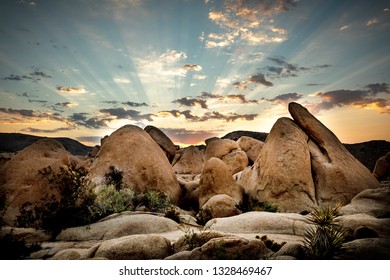 Joshua Tree Sunrise