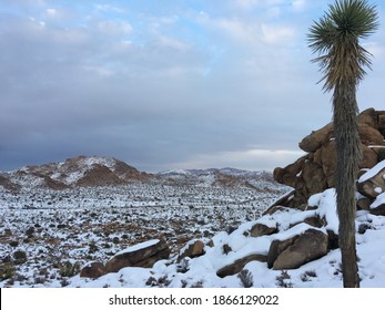 Joshua Tree Winter Mountain Sky