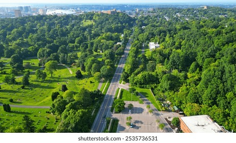 A journey across the sky leads to a city skyline that crowns the top of the frame, all the while highlighting the lush canopy of the forest trees in the foreground. - Powered by Shutterstock