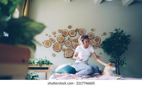 Joyful African American teenager is listening to music, dancing on bed and singing then caressing cute shiba inu dog lying on bed in bedroom. Fun and domestic animals concept. - Powered by Shutterstock
