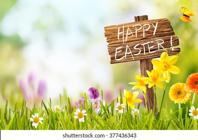 Joyful colorful spring background for a Happy easter with seasonal greeting handwritten on a rustic wooden sign board in spring countryside with fresh green grass and flowers, copy space above