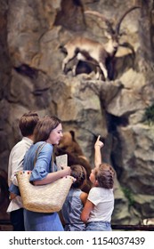 Joyful Family In Nature Museum