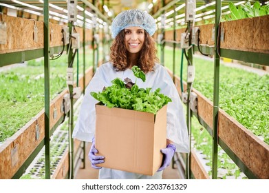 Joyful female gardener looking at camera and smiling while holding cardboard package box with green leafy plants. Woman with packed leafy greens standing near shelves with seedlings in greenhouse.