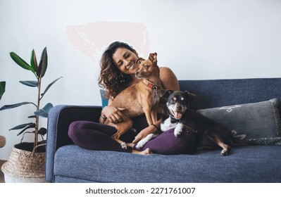 Joyful fit woman having fun with adorable mongrel dogs spending leisure time in home living room, cheerful female resting at comfortable couch with cute doggie pets enjoying friendship indoors - Shutterstock ID 2271761007