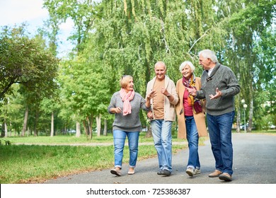 Joyful group of senior friends wearing warm clothes walking along park alley and chatting animatedly with each other, picturesque view on background