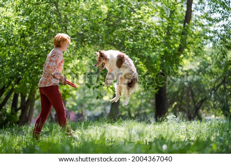 A joyful jumping dog and its owner. The woman throws a toy to the dog. Fun walks with pets