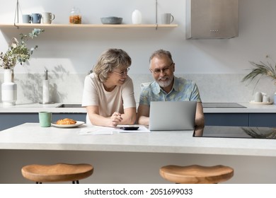 Joyful Sincere Older Mature Family Couple Enjoying Paying Bills Or Utilities Online In Computer E-banking Application, Planning Monthly Budget Or Investment, Feeling Satisfied With Enough Money.