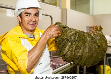 Joyful slaughterhouse butcher posing with a cattle omasum organ exuding pride and expertise in the meat processing industry creating a memorable and engaging image - Powered by Shutterstock