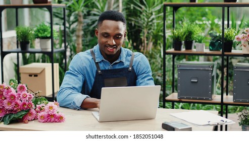 Joyful young man in flower shop sitting at workplace and texting on computer. Cheerful African American male florist worker in floral house tapping and typing on laptop. Floristry concept - Powered by Shutterstock