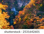 JR Tohoku Line Train on the Bridge across Naruko Gorge in Autumn, Miyagi, Japan