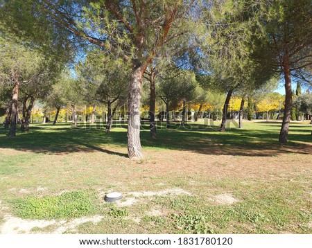 Juan Carlos III Park in the morning on October 12, 2020. During the state of alarm of the Community of Madrid on the Hispanic Day Festival.