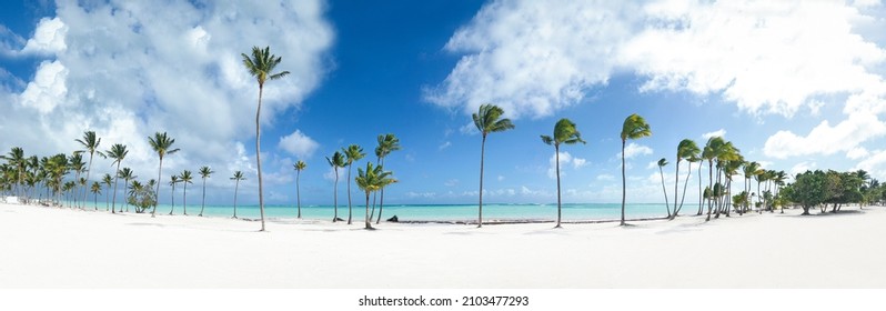 Juanillo beach with palm trees, white sand and turquoise caribbean sea water. Cap Cana is a tourist area in Dominican Republic. Panorama view