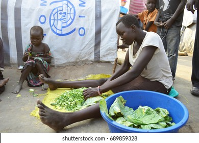 Juba, South Sudan, February 2017. A Teenage Girl Is Cutting Cabbage At A Salesian Camp For Internally Displaced Persons (IDPs). Captured During Civil War.