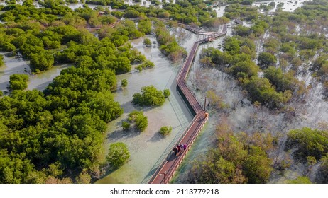 Jubail Mangrove Park In Abu Dhabi