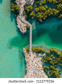 Jubail Mangrove Park In Abu Dhabi