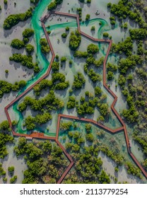 Jubail Mangrove Park In Abu Dhabi