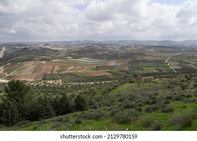 Judea and Samaria landscape, Israel-Palestine - Shutterstock ID 2129780159
