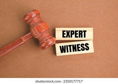 judge's gavel and stick with the word EXPERT WITNESS. the concept of witnesses in court