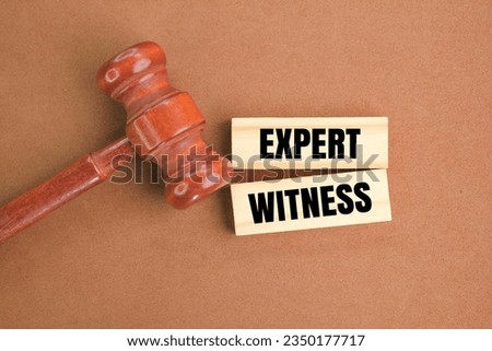 judge's gavel and stick with the word EXPERT WITNESS. the concept of witnesses in court