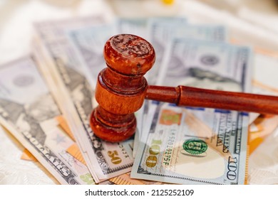 The Judge's Hammer On The Banknotes. Judicial Corruption And Justice. Resolution Of Financial Disputes. Recovery Of Great Danes. Bankruptcy. Dollars