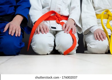 Judo Martial Arts