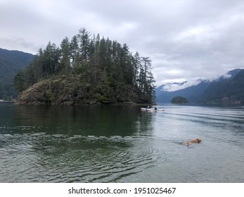 Jug Island Beach, Port Moody, BC, Canada