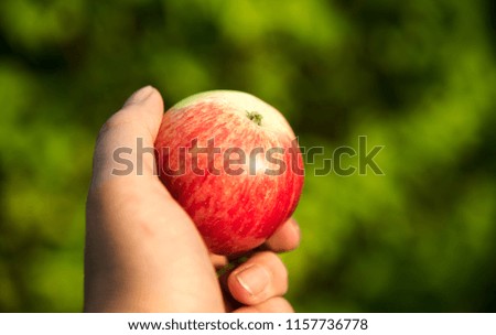 Similar – Frischer Apfel Frucht