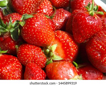 Juicy fragrant berry of bright red color.  - Shutterstock ID 1445899319