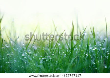 Similar – Image, Stock Photo frost Winter Nature Plant