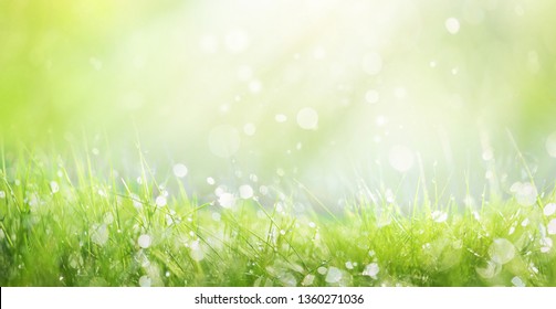 Juicy lush green grass on meadow with drops of water dew sparkle in morning light, spring summer outdoors close-up, copy space, wide format. Beautiful artistic image of purity and freshness of nature. - Shutterstock ID 1360271036