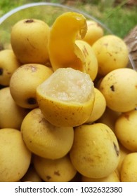 Juicy Marula Fruit