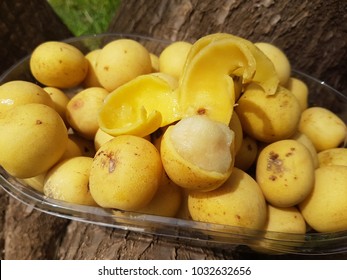 Juicy Marula Fruit