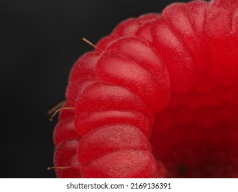 Juicy red raspberry up close