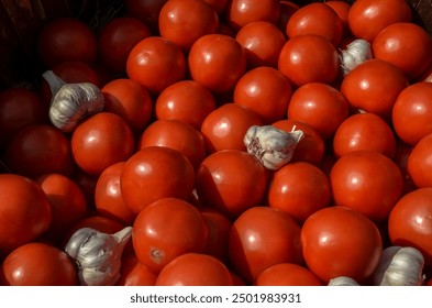 Juicy, ripe, fresh, red tomatoes interspersed with a few bulbs of garlic. Cooking, fresh produce, agriculture, healthy eating - Powered by Shutterstock