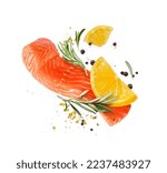 Juicy slice of fresh salmon with ingredients closeup isolated on a white background