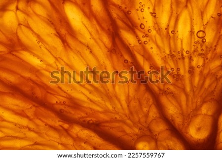 juicy slice of orange, macro photography