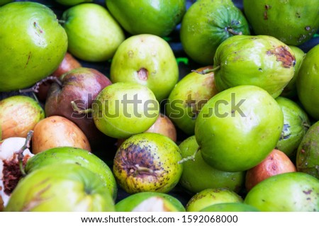 Lot of Jujubes Falling from the tree has both good and rotten fruit. selective focus.