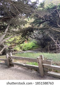 Julia Pfeiffer Burns State Park 