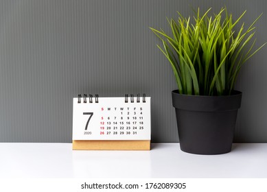 July 2020 Calendar With Potted Plant