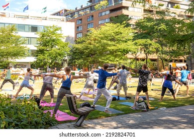 July, 2022. Rotterdam, Netherlands. A Group Of People In The Park Are Doing Yoga. Healthy Lifestyle.