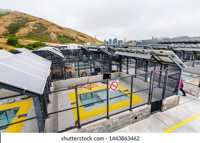 July 4, 2019 Sausalito / CA / USA - The Marine Mammal Center located in Marin Headlands in North San Francisco bay; the center is rescuing, rehabilitating and releasing marine mammals in distress